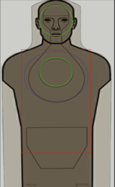 Target scoring zones